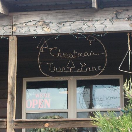 Rural Life On A Real Christmas Tree Farm! Hallmark Experience! 오작스 외부 사진