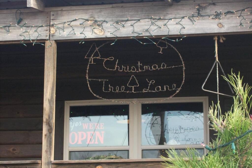 Rural Life On A Real Christmas Tree Farm! Hallmark Experience! 오작스 외부 사진