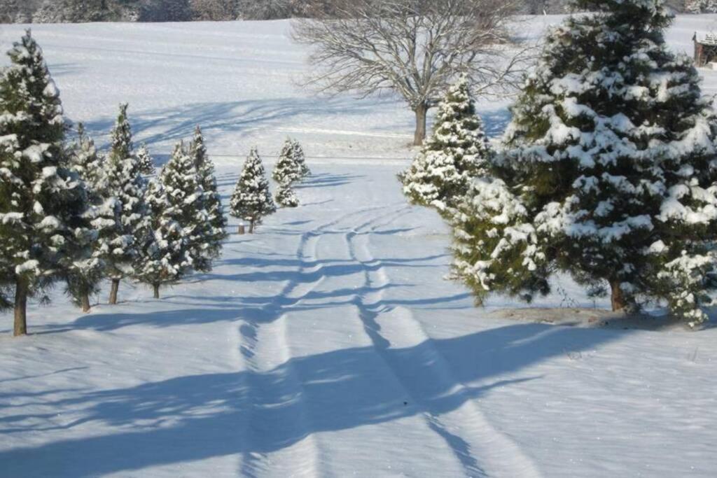 Rural Life On A Real Christmas Tree Farm! Hallmark Experience! 오작스 외부 사진