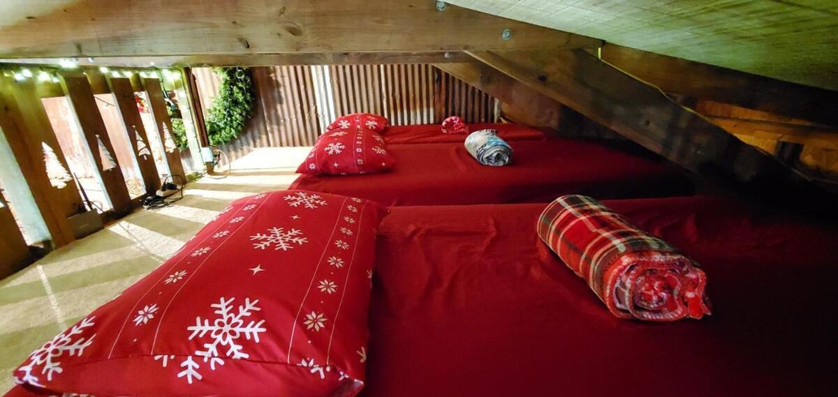 Rural Life On A Real Christmas Tree Farm! Hallmark Experience! 오작스 외부 사진